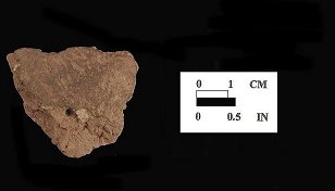 Shenks Ferry body sherd (exterior surface) from the Perry Point site I-5, 18CE256/3.